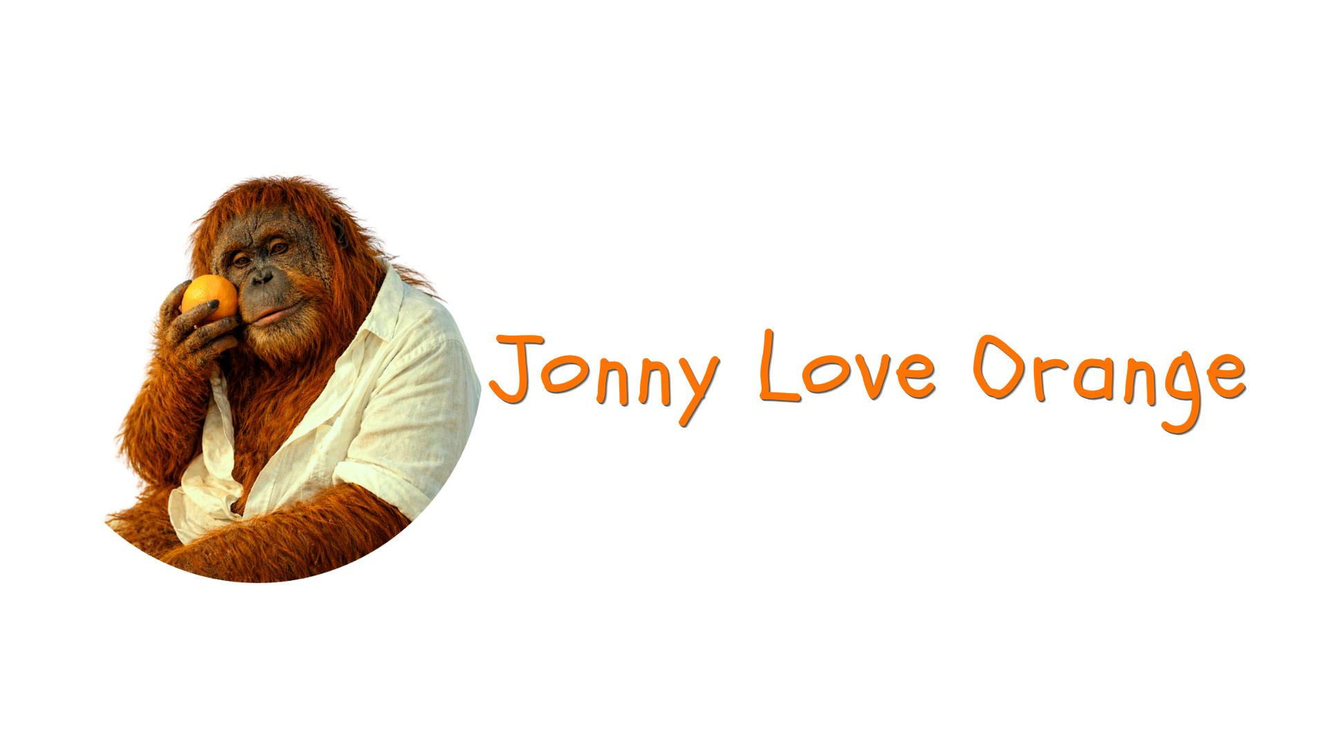 Kein Titel (1920 x 1080 px) (5).png